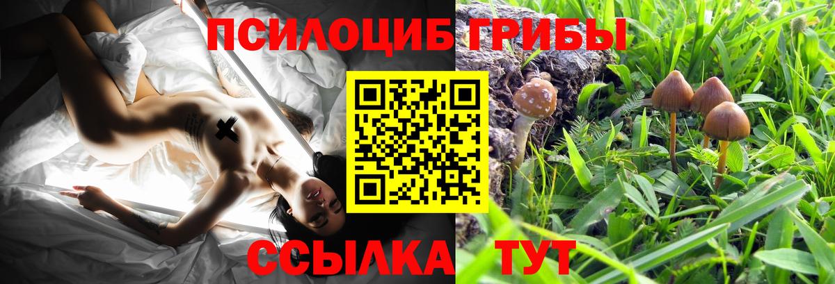 Галлюциногенные грибы мухоморы  Псилоцибиновые грибы Psilocybine cubensis  Губкинский  Вход с VPN 